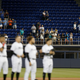 Illustration for article titled MLB's Empty Seats Aren't A Problem, They're Part Of The Plan